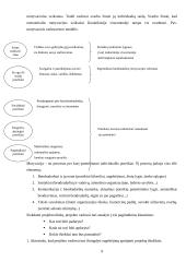 Kultūros vadybos samprata ir specifika 9 puslapis