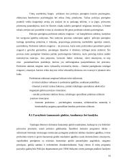 Šaunamojo ginklo panaudojimas prieš transporto priemones 12 puslapis