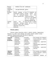 Kvėpavimo organų sistema 13 puslapis