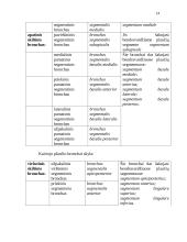 Kvėpavimo organų sistema 14 puslapis