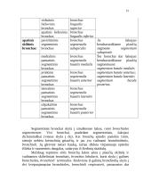 Kvėpavimo organų sistema 15 puslapis