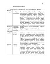 Kvėpavimo organų sistema 3 puslapis