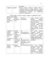 Kvėpavimo organų sistema 4 puslapis
