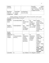 Kvėpavimo organų sistema 6 puslapis