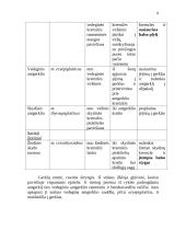 Kvėpavimo organų sistema 8 puslapis