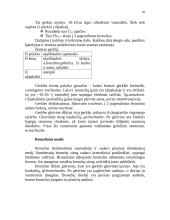 Kvėpavimo organų sistema 10 puslapis