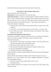 Laisvalaikio samprata 2 puslapis