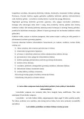Laisvalaikio samprata 11 puslapis