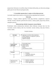 Laisvalaikio samprata 14 puslapis