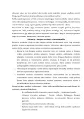 Laisvalaikio samprata 16 puslapis