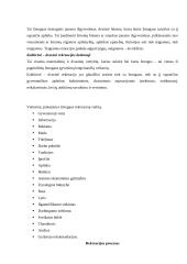 Laisvalaikio samprata 18 puslapis