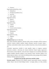 Laisvalaikio samprata 20 puslapis
