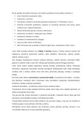Laisvalaikio samprata 3 puslapis