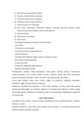 Laisvalaikio samprata 6 puslapis