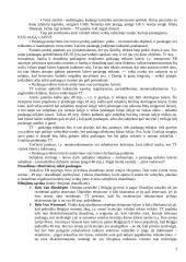 Laisvas asmenų judėjimas 3 puslapis