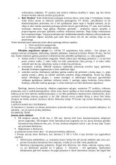 Laisvas asmenų judėjimas 4 puslapis