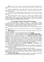 Lietuvos mokesčių sistema - išsami teorija 12 puslapis