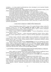Lietuvos mokesčių sistema - išsami teorija 20 puslapis
