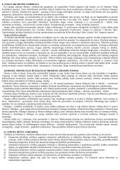 Psichoanalitinės kritikos pagrindai Froido veikaluose 3 puslapis