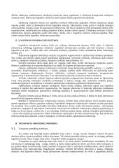 Logistika 11 puslapis