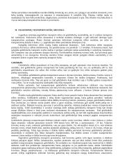 Logistika 14 puslapis