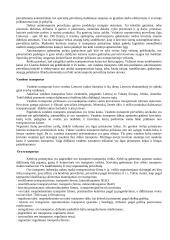 Logistika 16 puslapis