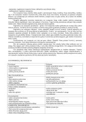 Logistika 17 puslapis