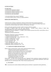 Logistika 19 puslapis