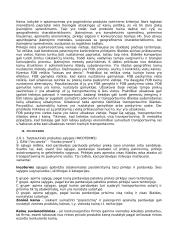 Logistika 7 puslapis