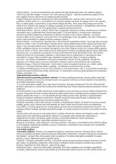 Išsami logistikos info 12 puslapis