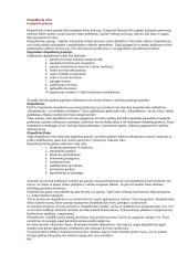 Išsami logistikos info 18 puslapis