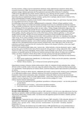 Išsami logistikos info 20 puslapis