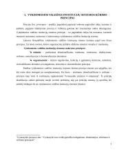 Vykdomosios valdžios institucijų sistemos kūrimo principai 3 puslapis
