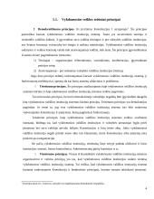 Vykdomosios valdžios institucijų sistemos kūrimo principai 4 puslapis