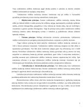 Vykdomosios valdžios institucijų sistemos kūrimo principai 5 puslapis