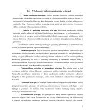 Vykdomosios valdžios institucijų sistemos kūrimo principai 6 puslapis