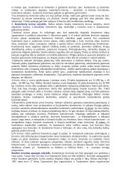 Logistika detaliai 11 puslapis
