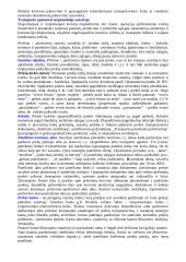 Logistika detaliai 12 puslapis