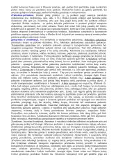Logistika detaliai 13 puslapis