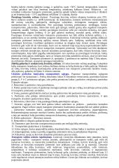 Logistika detaliai 17 puslapis