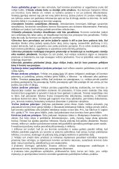 Logistika detaliai 19 puslapis