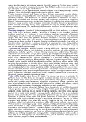 Logistika detaliai 4 puslapis