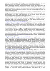 Logistika detaliai 7 puslapis