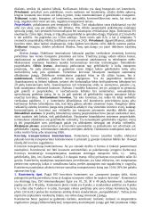 Logistika detaliai 10 puslapis
