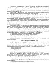 LPT sąsajos 3 puslapis