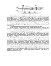 LPT sąsajos 6 puslapis