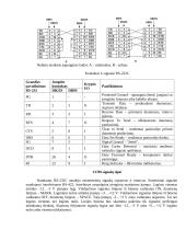 LPT sąsajos 8 puslapis