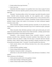 Kelios temos makroekonomikai 2 puslapis