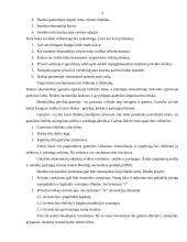 Kelios temos makroekonomikai 3 puslapis