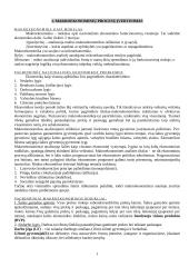 Išsami teorija - makroekonomika